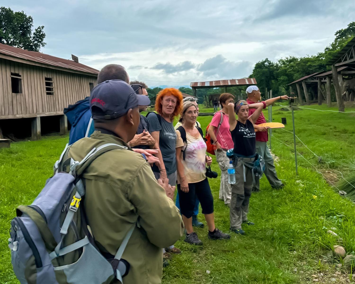 Greenland Safari, Sauraha Exterior foto